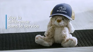 Subaru - Vive la différence dans le service | La journée du lapin