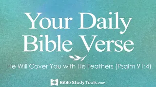 He Will Cover You with His Feathers (Psalm 91:4)