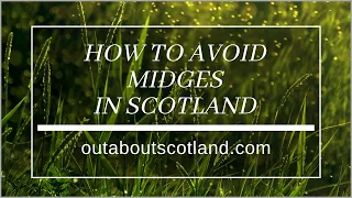 How to Avoid Midges in Scotland