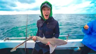 IK HEB EEN HAAI GEVANGEN IN NEDERLAND UIT DE ZEE!! 🎣🦈 #2233