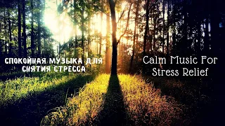 3 часа Спокойная Музыка Для Снятия Стресса Арфа Relaxing Harp Music Stress Relief Music