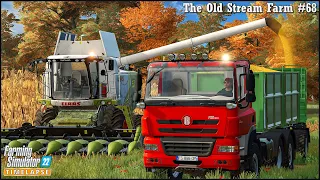 Harvesting 5,2ha Of Corn. Spreading Manure🔹#TheOldStreamFarm Ep.68🔹#FarmingSimulator22🔹#4K