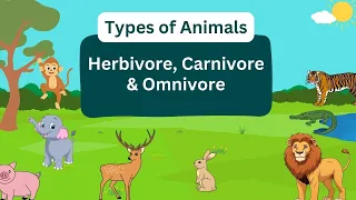 Types of Animals | Herbivores, Carnivores and Omnivores #animals