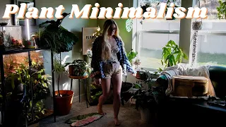 How I'm Using Minimalism in My Houseplant Collection