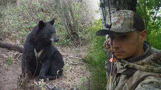 BLACK BEAR BOWKILL in ALBERTA S5 Ep1