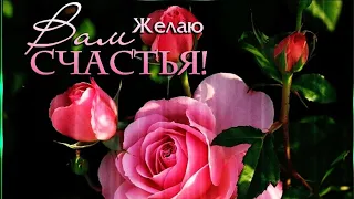 🌹БУДЬТЕ СЧАСТЛИВЫ И ЛЮБИМЫ👌