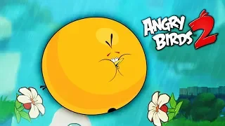 ПУХЛИК всегда ПУХЛИК! Злые птички Энгри Бердс против СВИНЕЙ / Angry Birds 2