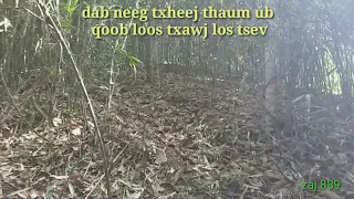 Dab neeg txheej thaum ub qoob loos txawj los tsev 1/9/2020