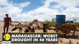 Madagascar drought sparks water shortage and starvation | 40% decline in food production | WION News