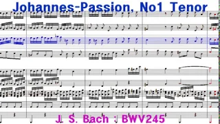 Johannes Passion , No1 Tenor Practice