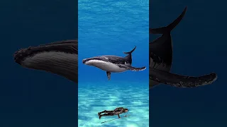 HOW TO SURVIVE IF YOU ARE SWALLOWED BY A WHALE