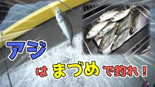 【波崎】アジを茨城で釣りたいならまずめが狙いめ！？