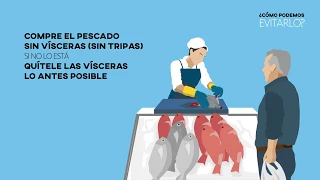 ANISAKIS. Comer pescado es sano y saludable. La Anisakiasis es fácil de evitar