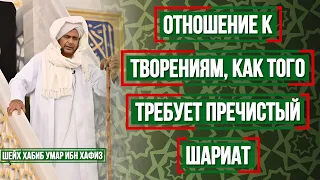 Отношение к творениям, как того требует пречистый Шариат