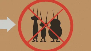 Oggy und die Kakerlaken 🚫 Kakerlaken verboten 🚫 Volledige aflevering in HD