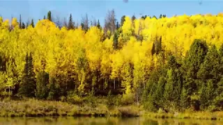 Peaceful music, Relaxing music, Beautiful Instrumental music, "Mountain Autumn Peace" by Tim Janis