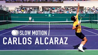 Carlos Alcaraz - Forehand, Backhand & Serve Slow-motions[2024]
