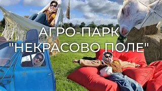 ЭКО'ЛОГИЧНЫЙ ОТДЫХ🧚‍♀️ АГРО-ПАРК "НЕКРАСОВО ПОЛЕ" #кореянкасуни#путешествия#россия#семья#радость🌼