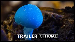 Fantastic Fungi Movie Trailer (2019) , Documentary Movies Series