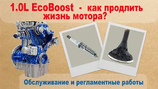 1.0L EcoBoost - Как продлить жизнь мотора? Обслуживание, регламентные работы, тонкости