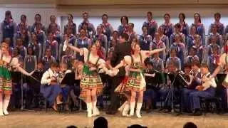 "Калинка", Ансамбль Локтева. "Kalinka", Loktev Ensemble. 2014-05-03