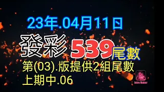 發彩第(03)版提供二組尾數上期中.06.供參考