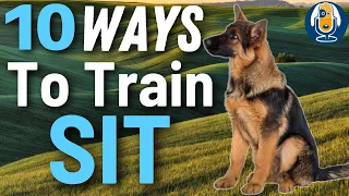 10 Ways To Teach A Sit WITHOUT A Food Lure! Unreal Results For Puppies And Dogs Of All Ages #155