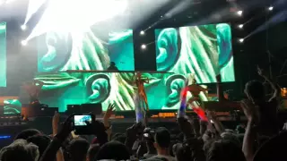 Die Antwoord - Cookie Thumper [Die Antwoord Live at Dreambeach 2016 - Almeria (Spain)]