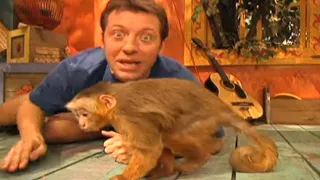 Zoboomafoo with the Kratt Brothers! CAPUCHIN MONKEYS | Full Episodes Compilation
