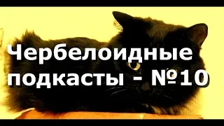 Чербелоидный подкаст #10 - Зеленый горошек, экстаз и сатана