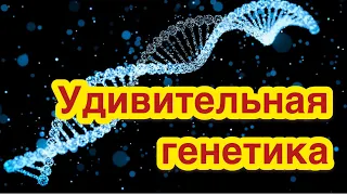 Самые удивительные факты о генетике. Кто такие люди-химеры?