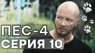 Сериал ПЕС - 4 сезон - 10 серия - ВСЕ СЕРИИ смотреть онлайн | СЕРИАЛЫ ICTV