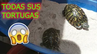 🐢Increíbles TORTUGAS encontramos con TORTUGERO🐢