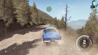 DiRT Rally on Linux