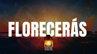 Comenzando tu dia con Dios  | Florecerás | Pastor Juan Carlos Harrigan