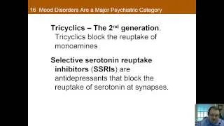 Chapter 16 Part B: Psychopathology: Biological Basis of Behavioral Disorders