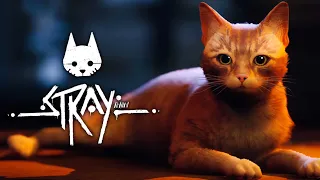 Logramos obtener la batería | #Stray | Cap 9