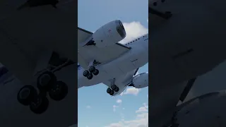 Birds Strike Hip Plane Engine Catches On Fire Caught On Camera  6