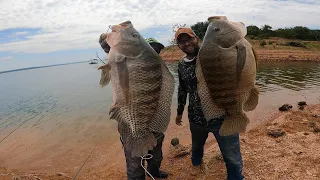 TILÁPIA SELVAGEM! Monstros do Lago ENCOSTARAM NA CEVA!