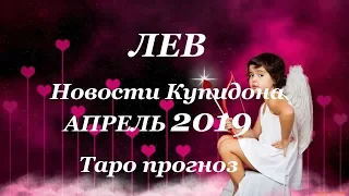 ЛЕВ. ЛЮБОВЬ. Таро – НОВОСТИ КУПИДОНА. АПРЕЛЬ 2019.