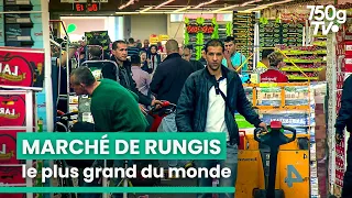 Rungis : les coulisses du royaume du goût ! | 750GTV