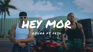 ozuna ft feid - Hey mor (Lyrics/Letra)