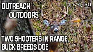 Outreach Outdoors | Two Shooter Bucks In Range, Buck Breeds Doe