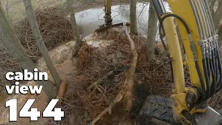 Difficult To Maneuver Between The Trees - Beaver Dam Removal With Excavator No.144 - Cabin View