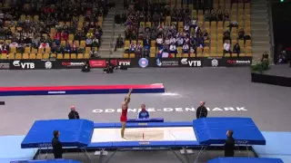 2015 Trampoline World Championships (Male)