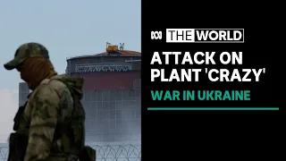 'It's not like Chernobyl but it wouldn't be pretty': Ukrainian nuclear plant 'attacked' | The World