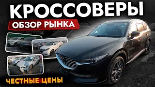 БОЛЬШОЙ ОБЗОР ЦЕН НА РЫНКЕ❗️ КРОССОВЕРЫ❗️ Выбор ЕСТЬ! Harrier | Raize | CX-5 | Vezel | X-Trail