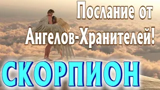 СКОРПИОН Срочное ПОСЛАНИЕ Вам от АНГЕЛОВ ХРАНИТЕЛЕЙ Таро Расклад гадание онлайн