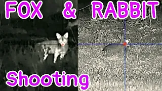 Rabbits & Foxes || Alpex 4K NightVision || 223 rifle shooting