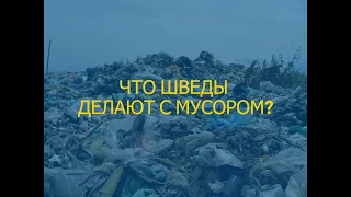 Что шведы делают с мусором?